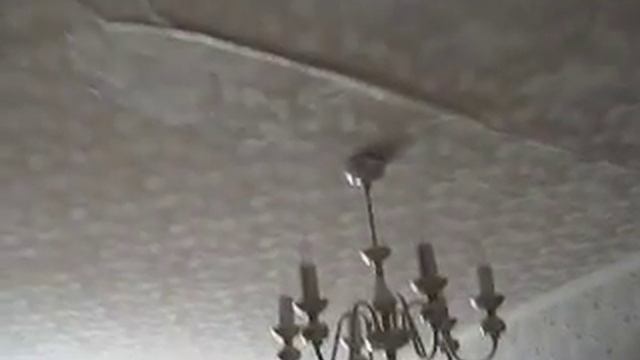 Последствия ливня в Туле. Вильямса, 46 смотреть онлайн