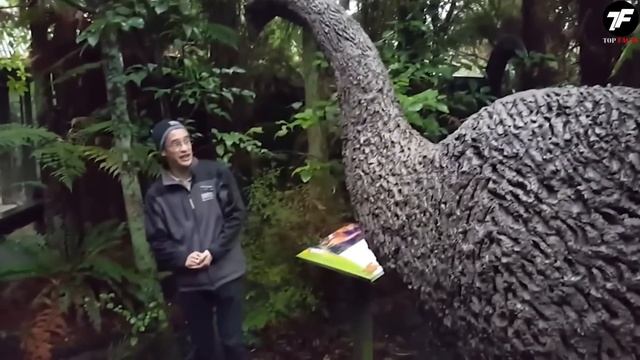 Как ЭТО Возможно? Исследователи Обнаружили То, Что Никто не Должен Был Увидеть смотреть онлайн