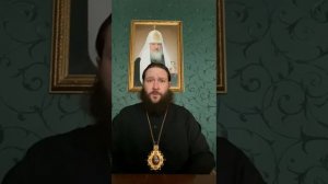 видеообращение Преосвященнейшего Зосимы епископа Магнитогорского и Верхнеуральского о Рад