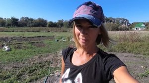 Газон, купаем собаку и 27- летие брака