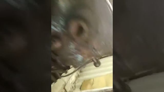 замена подшипника насоса гур ГАЗ смотреть онлайн