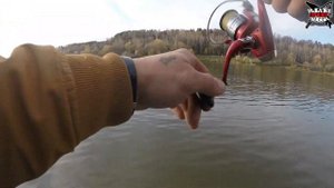 ЛОВЛЯ БЕРША И ОКУНЯ В ОКТЯБРЕ. ПОИСК РЫБЫ. РЫБАЛКА НА ОКЕ ОСЕНЬЮ