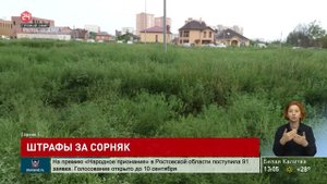 Штрафы за амброзию