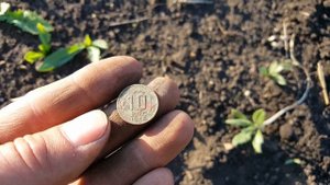 Коп в Башкирии на старое поле за монетами  30.05.2019г.
