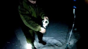 Рыбалка на Бирюсе  Ставим тычки на налима