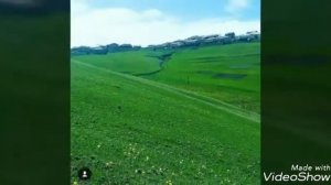Село Карбачи Махи   (Дахадаевский район)