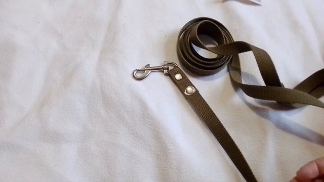 Купили поводок для Норы поводок покупка овчарка овчарки wolfhound shepherd sheperd leash