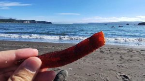 Морепродукты в Петропавловске-Камчатском