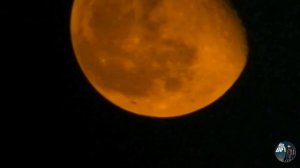 Celestron Inspire 90 Az ||| Orange Moon