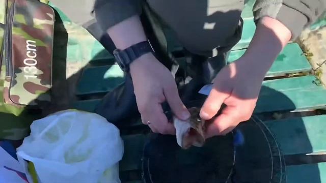 Рыбалка Питерская! 18+ смотреть онлайн