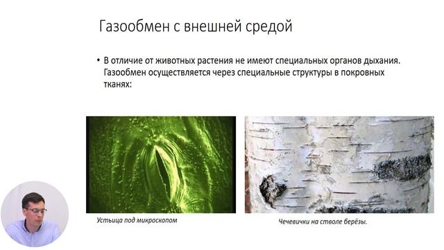 Биология, 9-й класс, Дыхание, как процесс жизнедеятельности растений смотреть онлайн