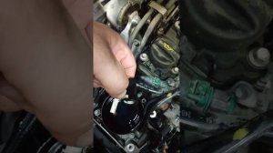 citroen jumpy 2019 cheng glasoil filter ситраэн джампи 2019 замена салярочнава фильтра