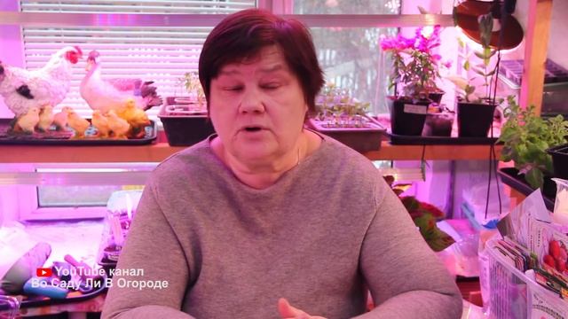 Посадите чеснок по-хитрому и он спасет другие культуры! Посадка чеснока весной.