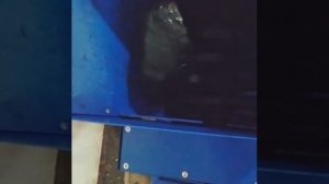 Дробилка для угля, экономит ваше время и деньги