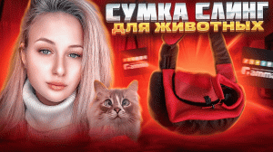 Сумка-слинг для домашних питомцев?