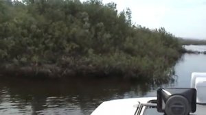 Судно на воздушной подушке Пегас по болоту и кустам