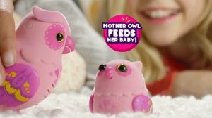 Little Live Pets - "Говорящая Сова с Совенком"