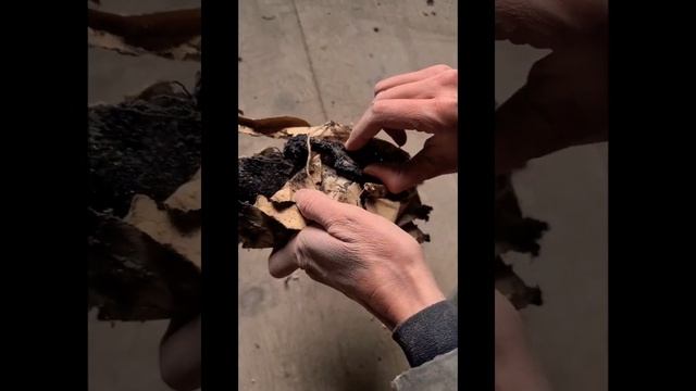 Video 16 - A few discoveries in the attic смотреть онлайн