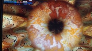 тест Radeon HD 5830 Furmark