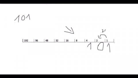 Двоичный код / Двоичная система счисления / Ascii Code| Основы Информатики #1