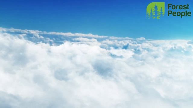 Сокращение биоразнообразия флоры и фауны