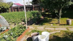 Огород круглый год,  #ГалкинTV