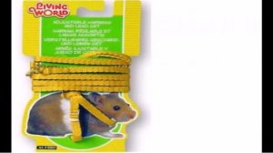 Как Сделать Шлейку Для Хорька Своими Руками