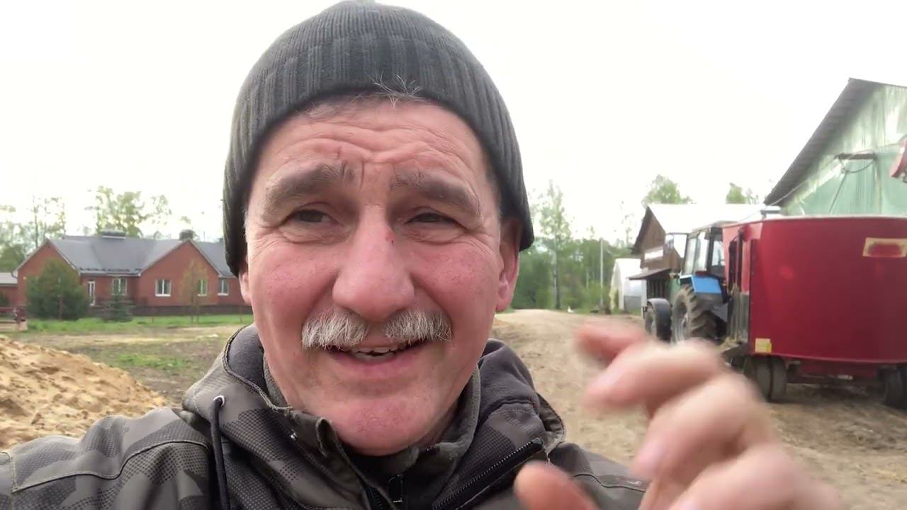 Силос, как корм для КРС смотреть онлайн