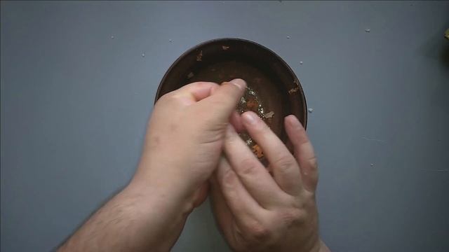 Удивительная насадка: Как морковкой ловить рыбу! #рыбалка #насадка #рыбалкавесной