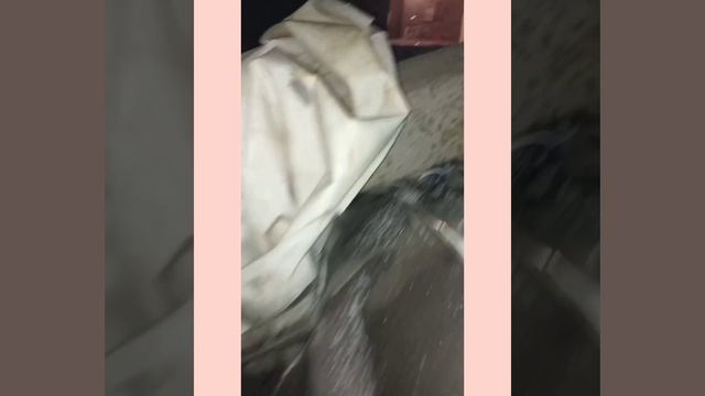 Ростов-на-Дону: в Александровке упавший столб раздавил припаркованный автомобиль.