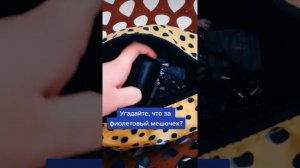 Секреты женской сумки ?