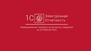 1С-Отчетность_ Формирование запроса на выписку сведений из ЕГРЮЛ  ЕГРИП БП 2.0