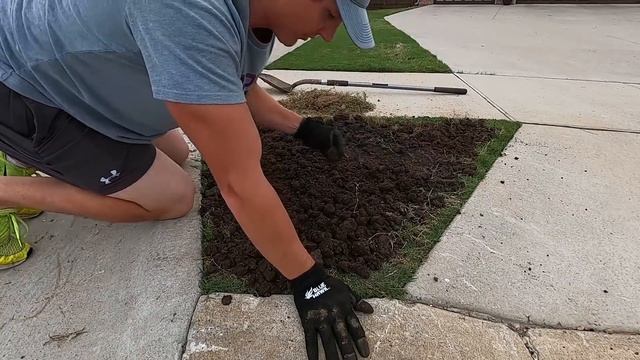 TOP DRESSING and Top Soiling Your Lawn to Fix BARE SPOTS смотреть онлайн