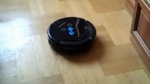 Домашние животные Кошка и робот пылесос