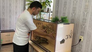 Террариум для императорского удава