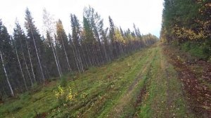 На Восходе за таёжным хариусом. Охота на рябчика. Глухари на дороге. 1 серия.