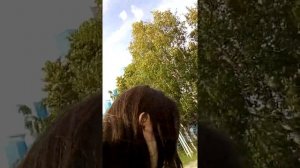 Даша упала в обморок  Пранк над нами Отомстим