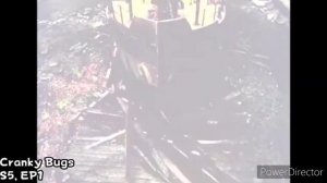 I put bad piggies over Thomas Crashes and I blame the votes.