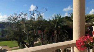 The Palms Resort Providenciales Turks and Caicos Walking Tour 2019