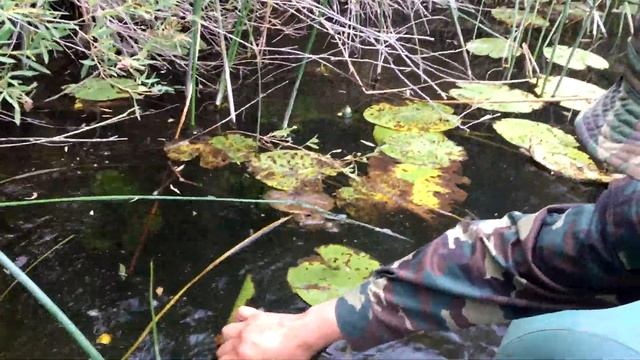 День жерлиц: Кружки против спиннингов. Рыбалка в Актобе, Казахстан