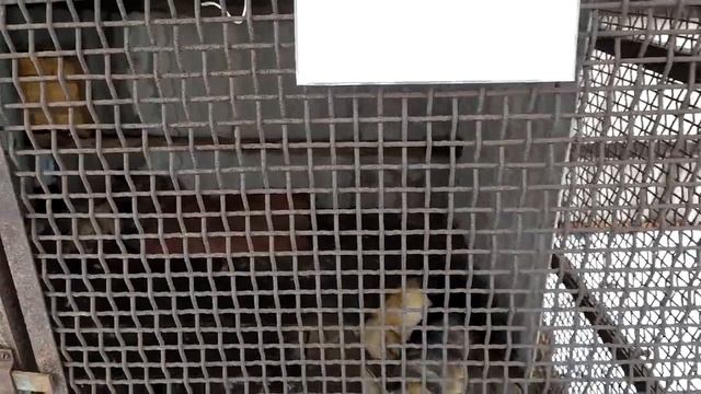 Народная помощь бойцам. смотреть онлайн