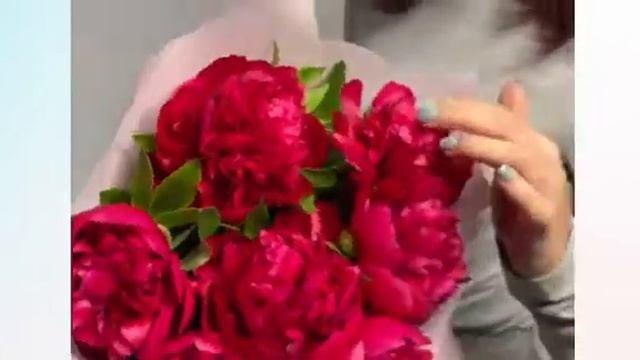 Букет из 7 бордовых пионов Россия смотреть онлайн