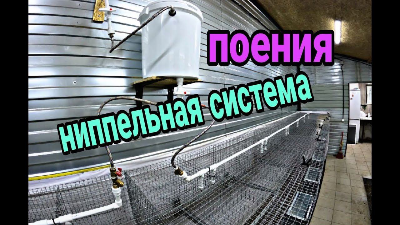 Ниппельные поилки для кроликов. Система поения кроликов. Каркасный крольчатник ч.17