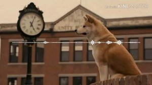 Музыка из фильма Хатико(Hachico):самый верный друг
