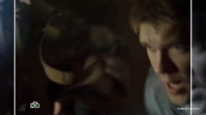 Мы с тобой одной крови Кот Мура