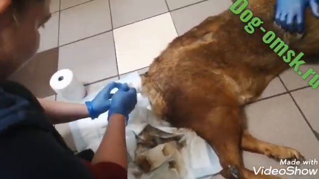 Новая, старая поциентка ДИНА смотреть онлайн