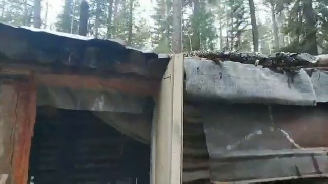 С друзьями на рыбалку! Красноярское водохранилище. смотреть онлайн