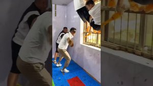 Screaming Chicken Blindfolded Beating Man Challenge Summer Vacation Four-piece Suit Sleeping with S