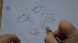 Простые уроки рисования. Как нарисовать желуди.