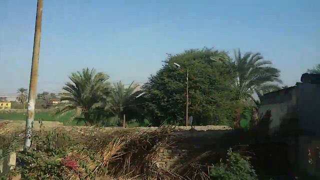 أثناء الذهاب من البر الشرقي إلى البر الغربي لنهر النيل , الأقصر "يناير 2015" смотреть онлайн